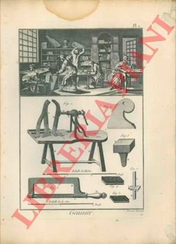 Encyclopedie mthodique. - Gainier.