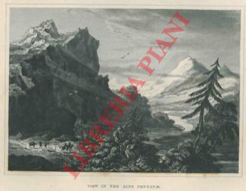 - - View in the Alps Penninae.