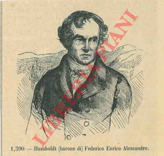 - - Humboldt.