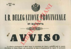- - Regolamentazione sulle abusive piantaggioni d'alberi lungo le arginature dei fiumi.