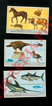Figurine Liebig - - Il regno animale.