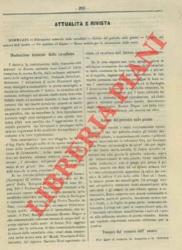 - - Distruzione naturale delle cavallette. Azione del petrolio sulle piante. Un sostituto al Guano. Ecc.