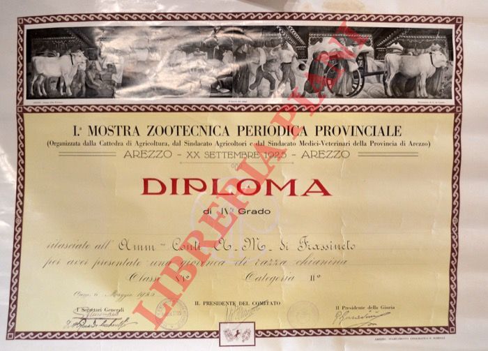 - - 1a Mostra Zootecnica Periodica Provinciale