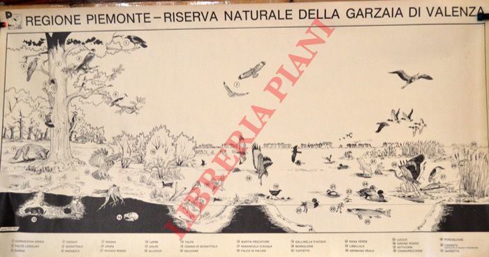 - - Riserva naturale della Garzaia di Valenza. Regione Piemonte.