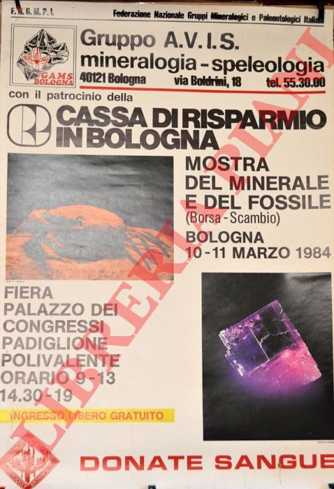 - - Mostra del minerale e del fossile (Borsa - scambio).