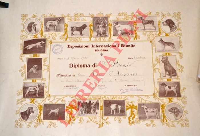 - - Esposizioni Internazionali Riunite.