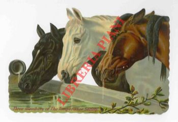 - - Cavallo.