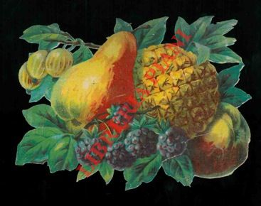 - - Frutta.