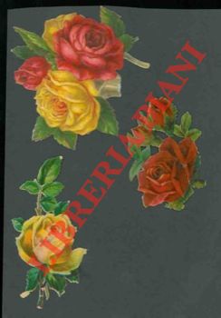 - - Rose.