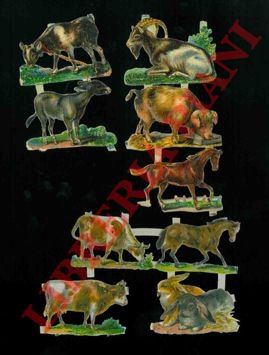 - - Animali domestici.