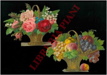 - - Frutta, fiori.
