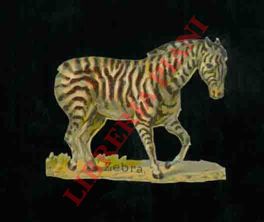 - - Zebre.
