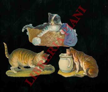 - - Gatti.