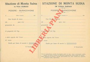 - - Stazione di monta suina. Villa Canali, Podere Buracchione.