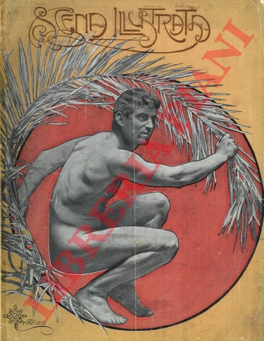 - - Scena illustrata.