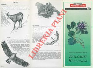 - - Parco Nazionale delle Dolomiti bellunesi.