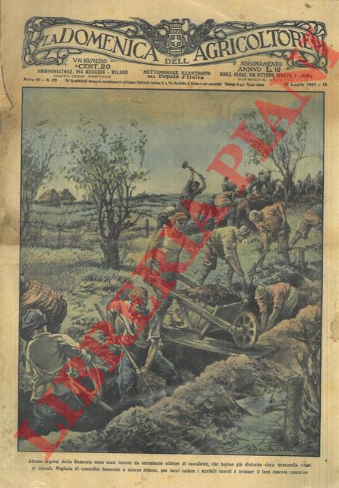 BARTOLETTI - - Invasione di cavallette nelle campagne rumene.
