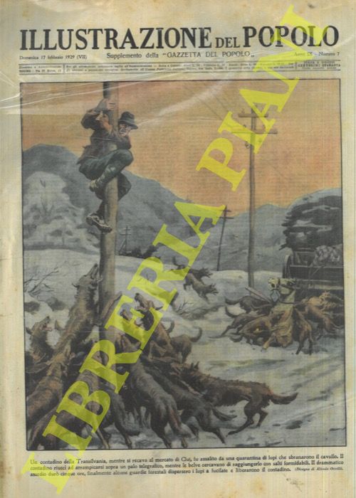 ORTELLI Alfredo - - In Transilvania 40 lupi assediano per cinque un contadino arrampicatosi su un palo telegrafico, dopo avergli sbranato il cavallo.