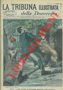 - - I lupi custoditi in Campidoglio assalgono il loro guardiano.