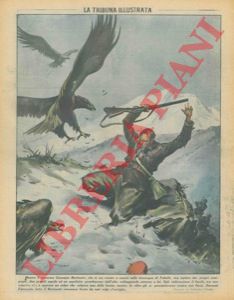 PISANI Vittorio - - Mentre era a caccia nelle montagne di Fabello, il novarese Giuseppe Bertinetti, rimasto isolato dai propri compagni viene assalito da due aquile ed un aquilotto, ne colpiva una ma rimaneva ferito dagli artigli delle altre due.