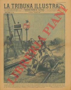 PISANI Vittorio - - Cane fa la guardia al padrone morente sui binari ferroviari e impedisce anche i soccorsi.