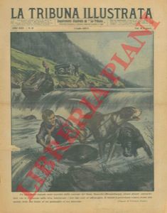 PISANI Vittorio - - Due cani di gitanti salvano giovinetto da sicuro annegamento.