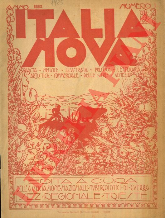 - - Italia nova. Rivista mensile illustrata politica, letteraria, artistica e commerciale delle Tre Venezie.
