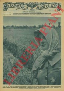 BARTOLETTI G. - - Nell'Agro romano diraspatrici pigiatrici meccaniche per l'ammostatura delle uve da vino.