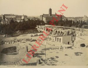 - - Roma : Palatino - Panorama dei scavi.