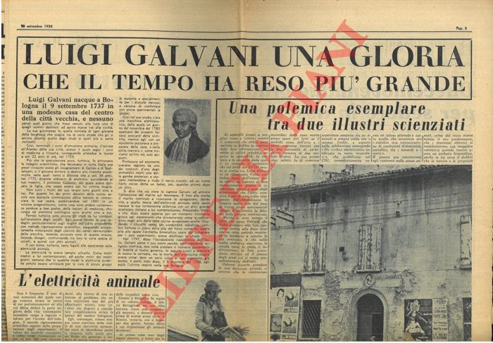 - - Ritagli di giornali,