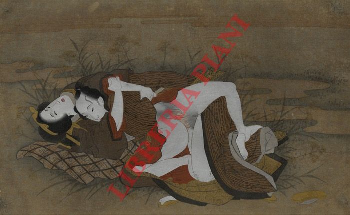 Shunga - - Coppia in accoppiamento semiposteriore, su fondo marron.