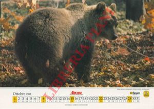 - - Da calendari, perlopi,