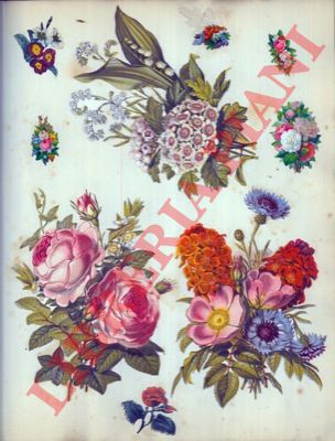 - - Album vittoriano (Scrap book).