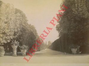 - - Roma : Villa Ludovisi.