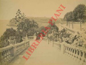- - Costa Azzurra : Monte Carlo, Les jardins et terrasses du Casino.