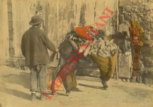 (G. Sommer. Napoli) - - Somarello carico, con ortolano che lo tiene per la coda.