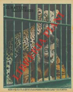 - - La belva amica dell'uomo : effusioni di tenerezza, nel serraglio, tra un leopardo espansivo e un domatore gioviale.