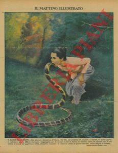 - - Il bacio della morte. Una giovane danzatrice di Burna, Ma Hla, ammaliatrice di serpenti, soggiogato con musica e danze un enorme cobra, ha sfiorato con le labbra la bocca del rettile...