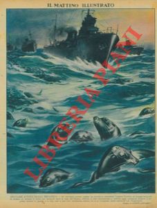 CASOLARO Giuseppe - - Singolare attivit navale britannica. Un convoglio armato inglese scorta, attraverso il Pacifico, un gregge di un milione di foche verso le coste dell'Alaska, perch si possano riprodurre.