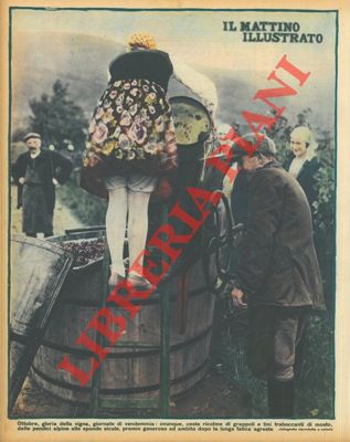 - - Ottobre, gloria della vigna, giornate di vendemmia: ovunque ceste ricolme di grappoli.