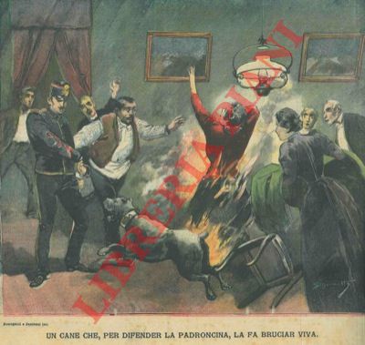 Silbonetto - - Un cane che, per difender la padroncina, la fa bruciar viva.