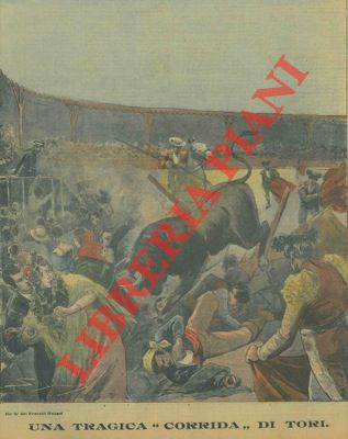 Silbonetto - - Una tragica 'corrida' di tori.