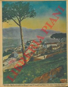 - - Primavera italica : gi la Sicilia  tutta in fiore, gli alberi e i prati si vestono di colori soavi al tepore della stagione mite. E le case di Monreale sorridono nel paesaggio a festa, al ridestarsi della natura, in un quadro di pittoresca meraviglia.