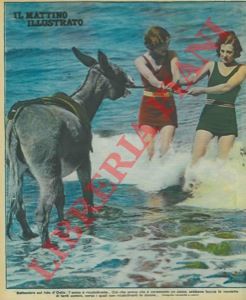 - - Settembre sul lido d'Ostia : l'asino  ricalcitrante... Ci che prova che  veramente un asino, sebbene faccia le vendette di tanti uomini, verso i quali son ricalcitranti le donne...