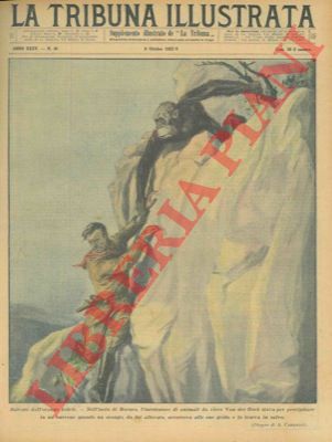 CAMERINI A. - - Salvato dall'orango fedele. Nell'isola di Borneo, l'incettatore di animali da circo Van der Hock stava per precipitare in un burrone quando un orango, da lui allevato, accorreva alle sue grida e lo traeva in salvo.
