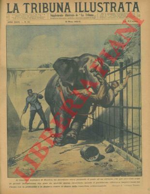 PISANI Vittorio - - Al Giardino zoologico di Basilea, un guardiano stava porgendo il pasto ad un elefante, che era stato da qualche giorno incatenato, quando il pachiderma, afferrato l'uomo con la proboscide lo sbatteva contro le sbarre e lo schiacciava.