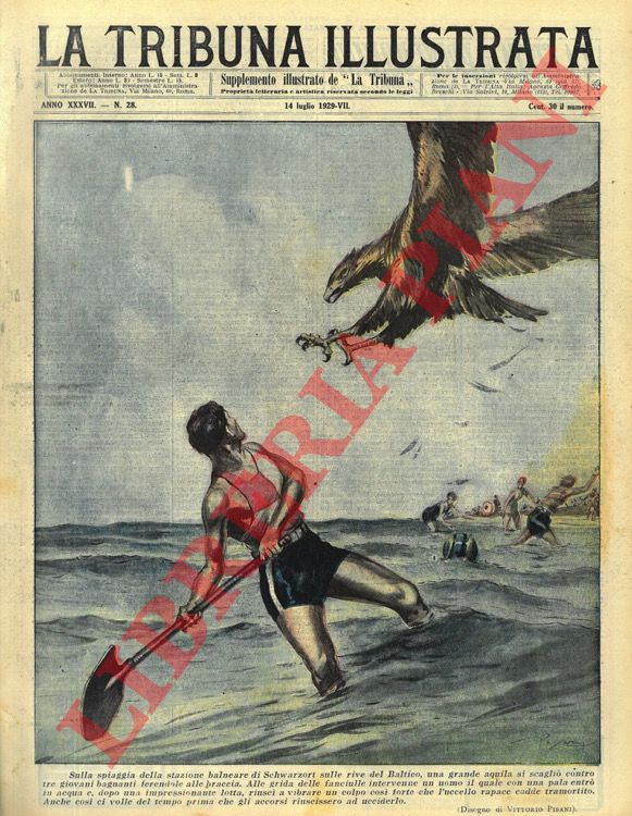 PISANI Vittorio - - Sulla spiaggia della stazione balneare di Schwarzort sulle rive del Baltico, un'aquila si scagli contro tre fanciulle bagnanti. Un uomo entrando in acqua con una pala riusc