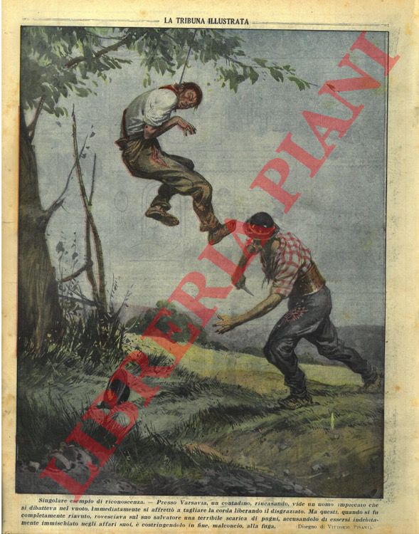 PISANI Vittorio - - Singolare esempio di riconoscenza. Presso Varsavia un contadino vide un uomo impiccato che si dibatteva nel vuoto, si affrett a tagliare la corda, ma il disgraziato, riavutosi, rovesci sul salvatore una terribile scarica di pugni accusandolo di essersi immischiato negli affari suoi.