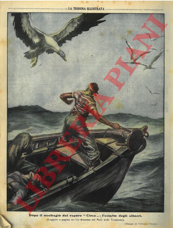 PISANI Vittorio - - Dopo il naufragio del vapore 'Circe' : l'assalto degli albatri.