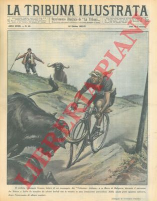 PISANI Vittorio - - Il ciclista Giuseppe Grasso, latore di un messaggio dei 'Volontari italiani' a re Boris di Bulgaria, durante il percorso da Varna a Sofia fu assalito da alcuni bufali che lo misero in una situazione pericolosa dalla quale pot appena salvarsi, dopo l'intervento di alcuni pastori.